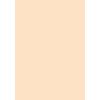 Kopierpapier MAESTRO COLOR, Hellfarben A4 120 g/m² Cream