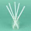 Bendable Straws - 11 inch Long Flexible Straws - Bendy Drinking Straw Reusable - 5 Pack