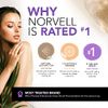 Norvell Venetian Rapid Sunless Self Tanner Lotion, 5 fl. oz.