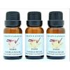 Warm Vanilla Sugar (Made in USA) 3 Bottles 1/2 Fl Oz Each (15ml) Premium Grade Scented Fragrance Oil