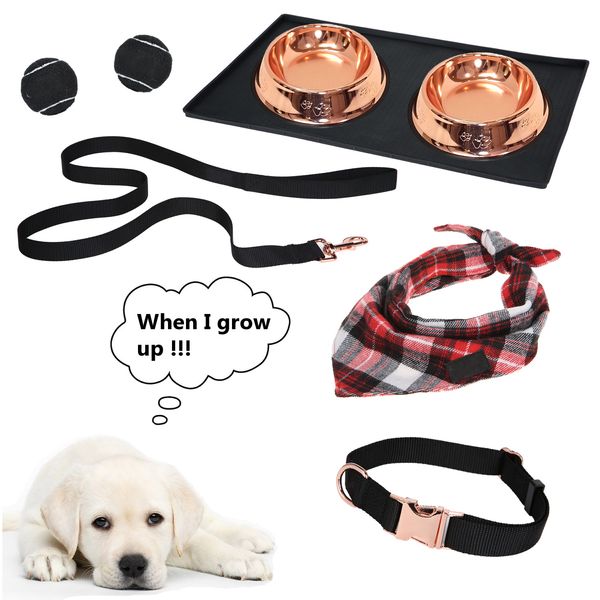 New Dog kit Dog/Pet Feeding Mat Dog Bowls Dog Leash and Collar Dog Toys