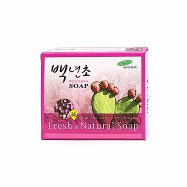 [RGO58785]Jaewoo Prickly Pear Soap 85g Face Wash Soap Cleansing Soap