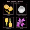 LOVSPA Meyer Lemon Reed Diffuser Set - Refreshing Citrus Scent Diffuser for Home - Non-Toxic Oil Reed Diffuser - Made in The USA