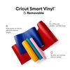 Cricut Smart Vinyl – Removable (3.7 m)