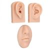 3D Educational Models Simulation Display Props Kit Include 1 X Nose and Mouth Model and 1 X Pair of Ear Model for Piercing Suture Practice (Silicone Material) (Medium Skin Color)