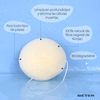 Beter Esponja Facial Konjac-Mimos Facial Sponge