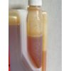 Rally PRO Ruby Reef Aquarium water Treatment 2 Liter