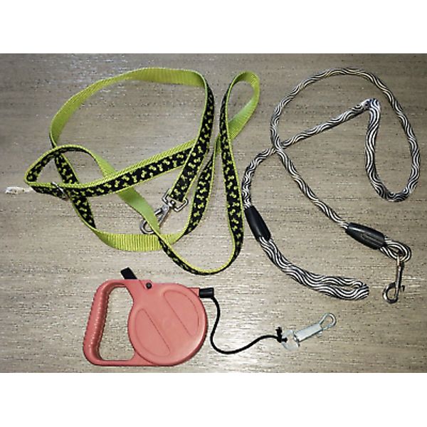 3 MALE FEMALE DOG LEASHES black green pirates one adjustable pets