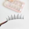 CLEAREYELASH Natural False Eyelashes 3D Matsueku 5 Pairs (D01)