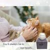 Matte Ceramic Cat Ashes Urn - Handicrafted Keepsake Memorial Gift, White, S