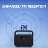 Powerbyte - Portable FM Radio Digital with Powerful 30W Stereo Bluetooth Speaker
