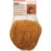 ProPlus Natural Painting Sponge Medium Texture, Small