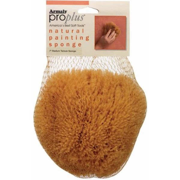 ProPlus Natural Painting Sponge Medium Texture, Small