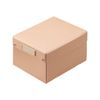 LIHIT LAB Roomy Folding Box, Comics, Pink A-796-12