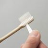 Temuco Replacement Head Toothbrush, Sales de Meus, 6 Piece Set, Regular