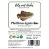 High Strength Phellinus igniarius Extract Powder - No Fillers and Binders