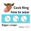 Ring - Nitrile - 1.5" - White