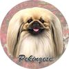 ES Pets Absorbent Stoneware Car Cup Holder Coaster, Pekingese