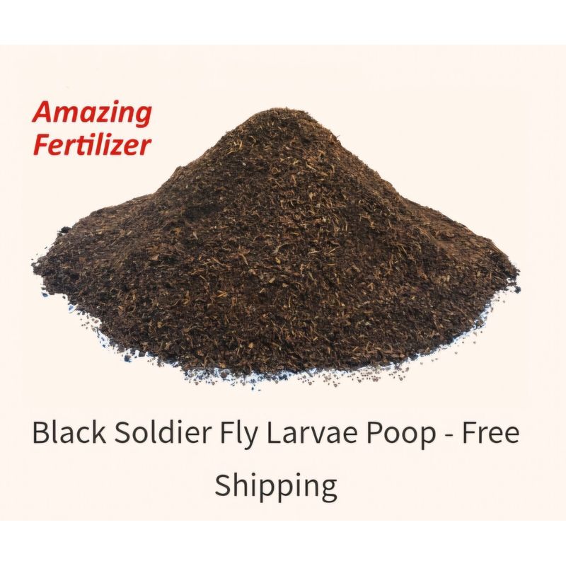 BuildASoil Insect Frass • 4 Lbs • Black Soldier Fly Larvae Frass Soil ...