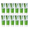 12x D. Dent Herbal Toothpaste Peppermint Formula Fluoride Fresh Breath Sensitive