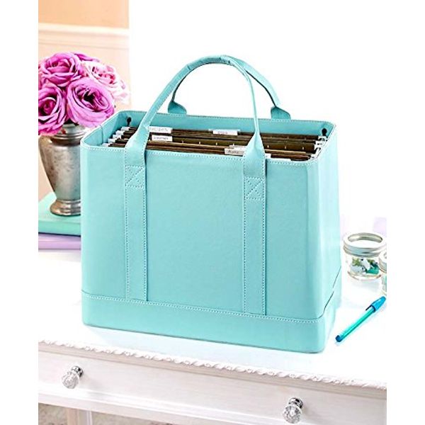 Chic File Organizers (Blue)