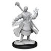 D&D Nolzur's Marvelous Miniatures: Half-Elf Wizard Male
