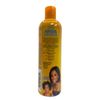 Profectiv Mega Growth Detangiling Conditioner 355 ml by Profectiv