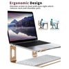 ALASHI Laptop Stand for Desk, Aluminum Computer Riser, Ergonomic Notebook Hol...