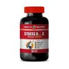 immune support vitamin c - STRESS B WITH C - antioxidant boost complex 1 BOTTLE