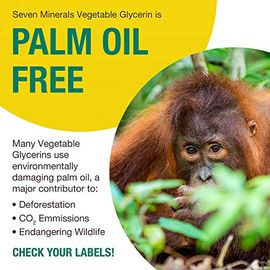 Organic Vegetable Glycerin - Big 32 fl oz Bottle - No Palm Oil, Made with  Organic Coconut Oil - Therapeutical Grade Glycerine Liquid for DIYs 