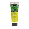 Hand & Body Lotion Cucumber Melon 8 OZ By Shikai