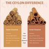 Premium Ceylon Cinnamon Powder, 80 Oz / 5 LB
