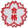 Patch Passing Stamp Velcro Detachable Military Airsoft Funny Embroidered Patch