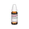 DHU Hamamelis C30 Dilution, 20 ml Lösung