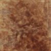 Water-Based Concrete Stain Walttools 1 QUART Pro-Grade, Eco-Friendly (Buckskin)