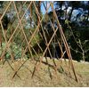 Selections Expanding Willow Garden Obelisk (1.2m) (One)
