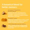 CocoaVia Memory & Focus Brain Supplement, 30 Day, Cocoa Flavanol Blend, Lutein, Added Caffeine for Boost. Improve Cognitive Function, Attention, Vegan & Plant Based, 30 Capsules