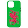 iPhone 14 Pro Max Welsh Flag Red Dragon in red & white Case