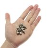 30 PCS PC Case Screws,Computer Case Thumbscrews for Fastening (Silver)
