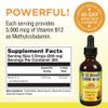Nature's Life B12 Methlycobalamin Wildberry, 2 Fluid Ounce