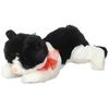 Black and White Plush Kitty Cat with Red Bow for Valentine's Day
