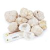Break Your Own Geodes - Pack of 10