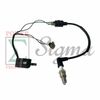 Magneto Ignition Coil Spark Switch For 2HP 2-Stroke 2-Cycle 63CC 64CC Generator