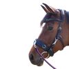 PFIFF 103115 Anatomic Soft Shape Anatomic Padded Cavesson Black Cob