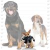 MIGHTY Nature Dog Toy