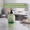 McKesson Antimicrobial Lotion Soap with Pump, Aloe, Herbal Scent, 18 oz, 1 Count