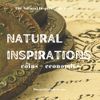 NATURAL INSPIRATIONS: coins + economics
