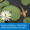 API POND 5 IN 1 TEST STRIPS 25 Count Pond Water Quality Test Kit for Fish Care