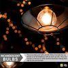 12Pack 10G11 Replacement Light Bulbs, Clear Globe, 10W, 2600K, 65LM, E12, 120V