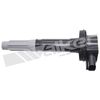 Ignition Coil Walker For 2011-2016 Ford F-150 5.0L V8